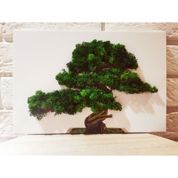 Drzewo z mchem BONSAI obraz mech chrobotek 30X20cm